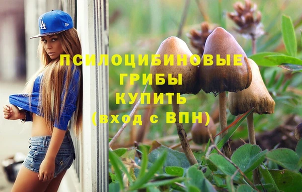 гидропоника Балабаново