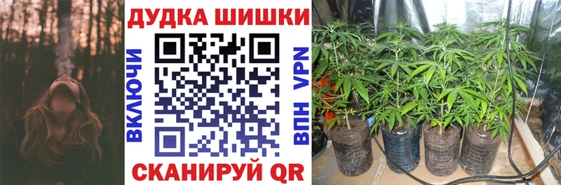 Шишки марихуана марихуана даркнет сайт Бор